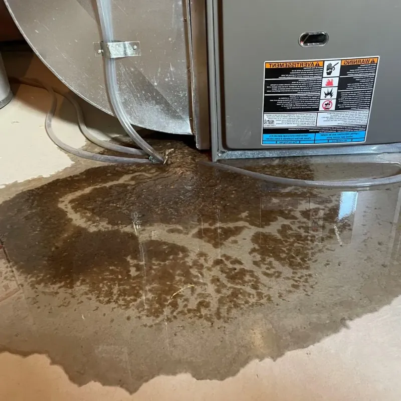 Pipe Burst and Leak Restoration in LaBarque Creek, MO